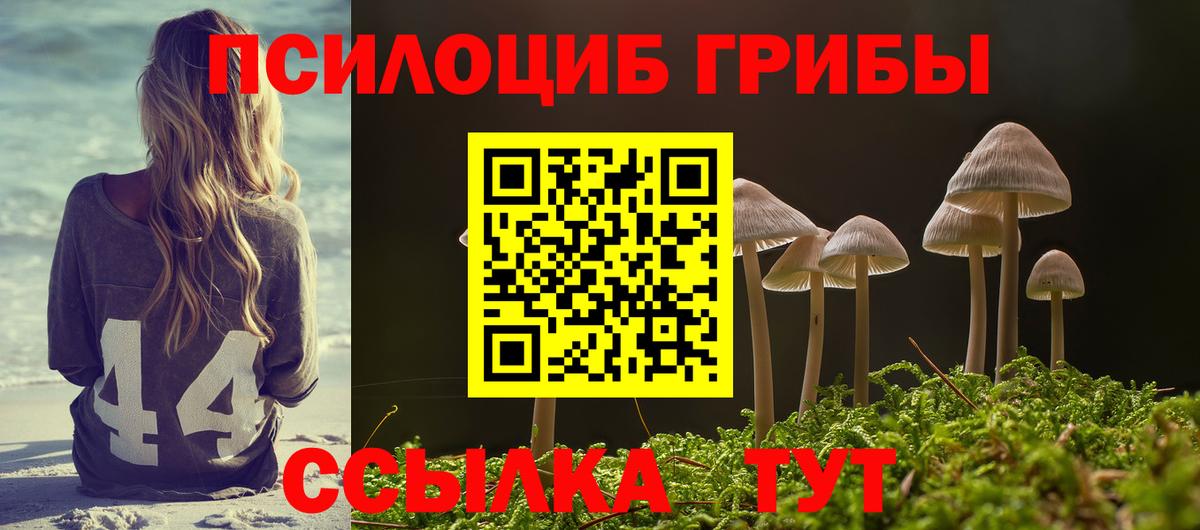 Магадан  Псилоцибиновые грибы мицелий  Вход с VPN  Галлюциногенные грибы Psilocybine cubensis 